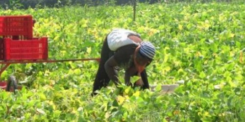 Basta politica che propaganda odio per il diverso