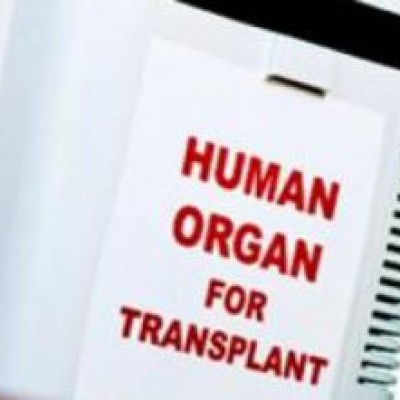 Stretta contro traffico organi: via libera della Camera a nuova legge