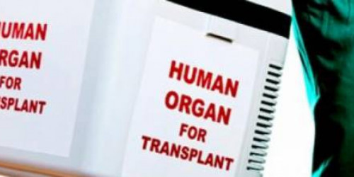 Stretta contro traffico organi: via libera della Camera a nuova legge