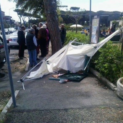 Anzio, solidarietà ai volontari del comitato "Salviamo la pineta"