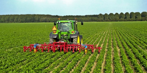 Esenzioni dal pagamento dell'IMU sui terreni agricoli