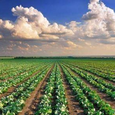 IMU su terreni agricoli, detrazioni importanti su 35 comuni della provincia